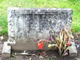 image of grave number 236390